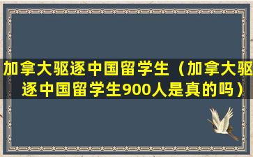 加拿大驱逐中国留学生（加拿大驱逐中国留学生900人是真的吗）