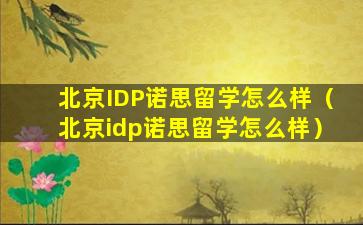 北京IDP诺思留学怎么样（北京idp诺思留学怎么样）