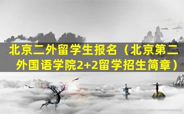 北京二外留学生报名（北京第二外国语学院2+2留学招生简章）