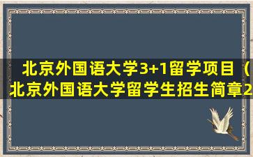 北京外国语大学3+1留学项目（北京外国语大学留学生招生简章2020）