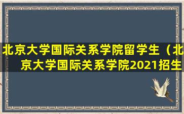 北京大学国际关系学院留学生（北京大学国际关系学院2021招生简章）