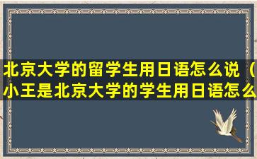 北京大学的留学生用日语怎么说（小王是北京大学的学生用日语怎么说）