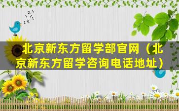 北京新东方留学部官网（北京新东方留学咨询电话地址）