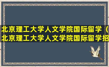 北京理工大学人文学院国际留学（北京理工大学人文学院国际留学招生简章）
