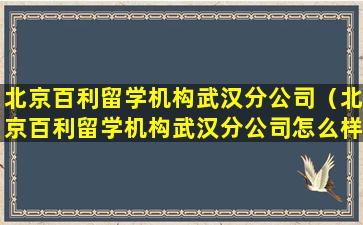 北京百利留学机构武汉分公司（北京百利留学机构武汉分公司怎么样）