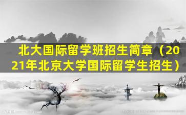 北大国际留学班招生简章（2021年北京大学国际留学生招生）