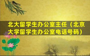 北大留学生办公室主任（北京大学留学生办公室电话号码）