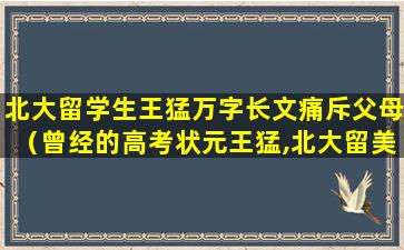 北大留学生王猛万字长文痛斥父母（曾经的高考状元王猛,北大留美学生）