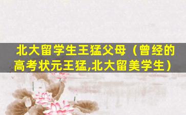 北大留学生王猛父母（曾经的高考状元王猛,北大留美学生）