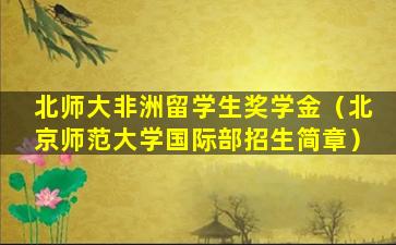 北师大非洲留学生奖学金（北京师范大学国际部招生简章）