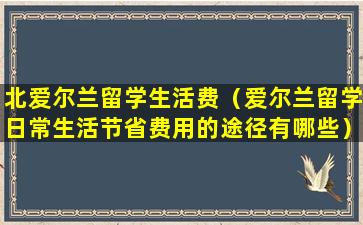 北爱尔兰留学生活费（爱尔兰留学日常生活节省费用的途径有哪些）