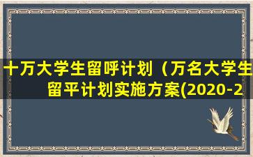 十万大学生留呼计划（万名大学生留平计划实施方案(2020-2022年)）