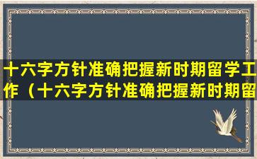 十六字方针准确把握新时期留学工作（十六字方针准确把握新时期留学工作的特点）