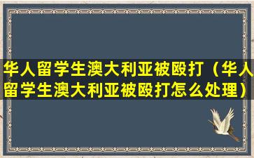 华人留学生澳大利亚被殴打（华人留学生澳大利亚被殴打怎么处理）