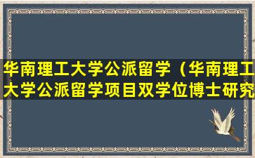 华南理工大学公派留学（华南理工大学公派留学项目双学位博士研究生）