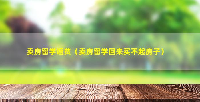 卖房留学返贫（卖房留学回来买不起房子）