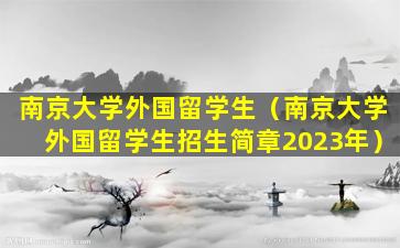 南京大学外国留学生（南京大学外国留学生招生简章2023年）