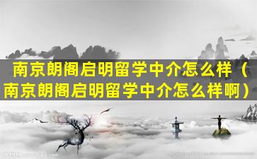 南京朗阁启明留学中介怎么样（南京朗阁启明留学中介怎么样啊）