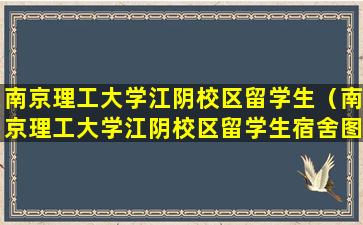 南京理工大学江阴校区留学生（南京理工大学江阴校区留学生宿舍图片）