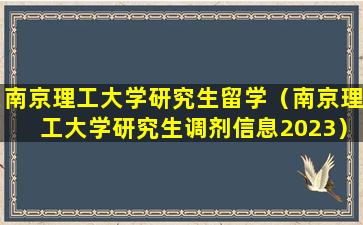 南京理工大学研究生留学（南京理工大学研究生调剂信息2023）