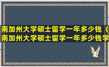 南加州大学硕士留学一年多少钱（南加州大学硕士留学一年多少钱学费）