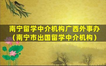 南宁留学中介机构广西外事办（南宁市出国留学中介机构）