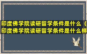 印度佛学院读研留学条件是什么（印度佛学院读研留学条件是什么样的）