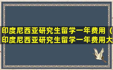 印度尼西亚研究生留学一年费用（印度尼西亚研究生留学一年费用大概多少）