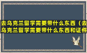 去乌克兰留学需要带什么东西（去乌克兰留学需要带什么东西和证件）