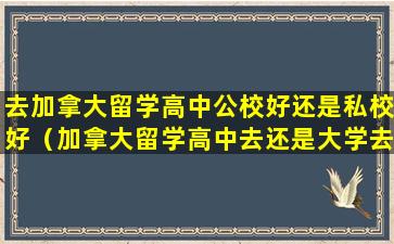 去加拿大留学高中公校好还是私校好（加拿大留学高中去还是大学去好）