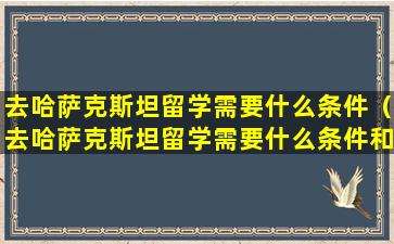 去哈萨克斯坦留学需要什么条件（去哈萨克斯坦留学需要什么条件和学历）