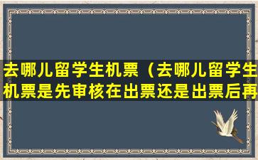 去哪儿留学生机票（去哪儿留学生机票是先审核在出票还是出票后再审核）