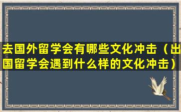 去国外留学会有哪些文化冲击（出国留学会遇到什么样的文化冲击）