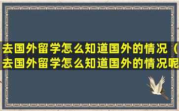 去国外留学怎么知道国外的情况（去国外留学怎么知道国外的情况呢）