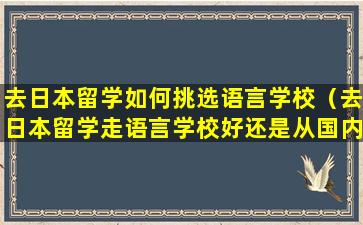 去日本留学如何挑选语言学校（去日本留学走语言学校好还是从国内申请好）