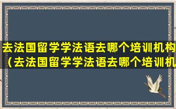 去法国留学学法语去哪个培训机构（去法国留学学法语去哪个培训机构比较好）