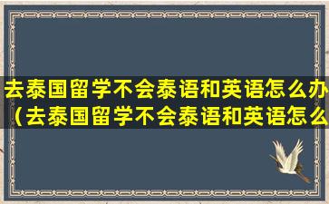 去泰国留学不会泰语和英语怎么办（去泰国留学不会泰语和英语怎么办呢）