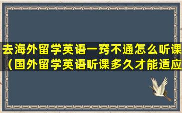 去海外留学英语一窍不通怎么听课（国外留学英语听课多久才能适应）