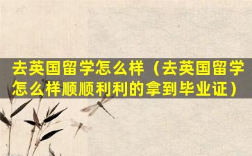 去英国留学怎么样（去英国留学怎么样顺顺利利的拿到毕业证）