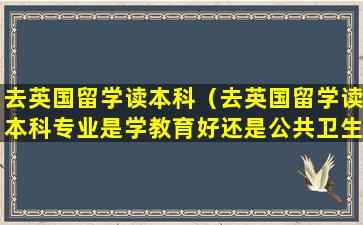 去英国留学读本科（去英国留学读本科专业是学教育好还是公共卫生好）