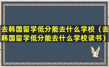 去韩国留学低分能去什么学校（去韩国留学低分能去什么学校读书）