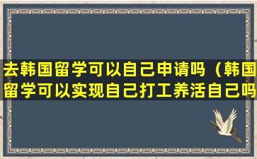 去韩国留学可以自己申请吗（韩国留学可以实现自己打工养活自己吗）