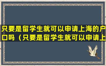 只要是留学生就可以申请上海的户口吗（只要是留学生就可以申请上海的户口吗知乎）