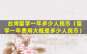 台湾留学一年多少人民币（留学一年费用大概是多少人民币）