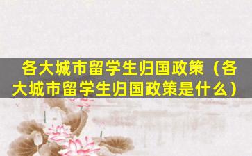 各大城市留学生归国政策（各大城市留学生归国政策是什么）