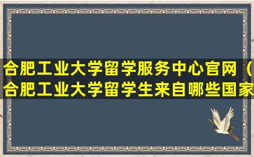 合肥工业大学留学服务中心官网（合肥工业大学留学生来自哪些国家）