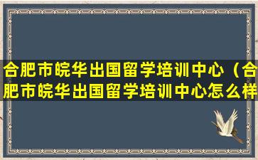 合肥市皖华出国留学培训中心（合肥市皖华出国留学培训中心怎么样）