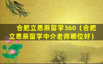 合肥立思辰留学360（合肥立思辰留学中介老师哪位好）