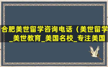 合肥美世留学咨询电话（美世留学_美世教育_美国名校_专注美国高端留学机构）