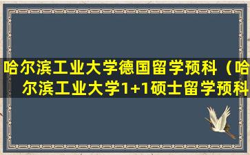 哈尔滨工业大学德国留学预科（哈尔滨工业大学1+1硕士留学预科怎么样）